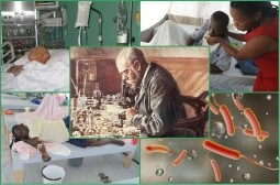 Эпидемиологическая обстановка в мире по холере. Меры профилактики.